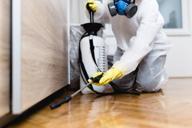 Best Mosquito Control Services  in Bunkie, LA