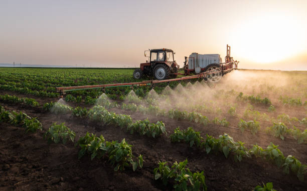 Best Pest Removal Services  in Bunkie, LA