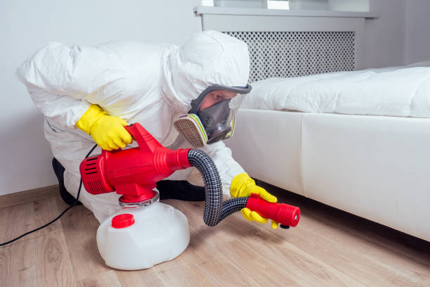 Reliable Bunkie, LA Pest Control Solutions