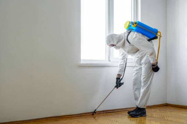 Best Termite Control Services  in Bunkie, LA